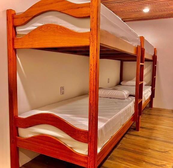 هاستل Gadhega S