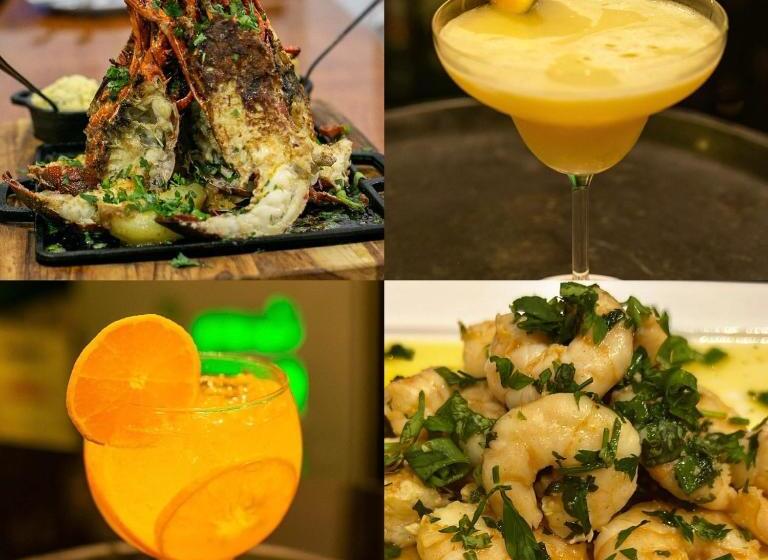 هاستل Gadhega S