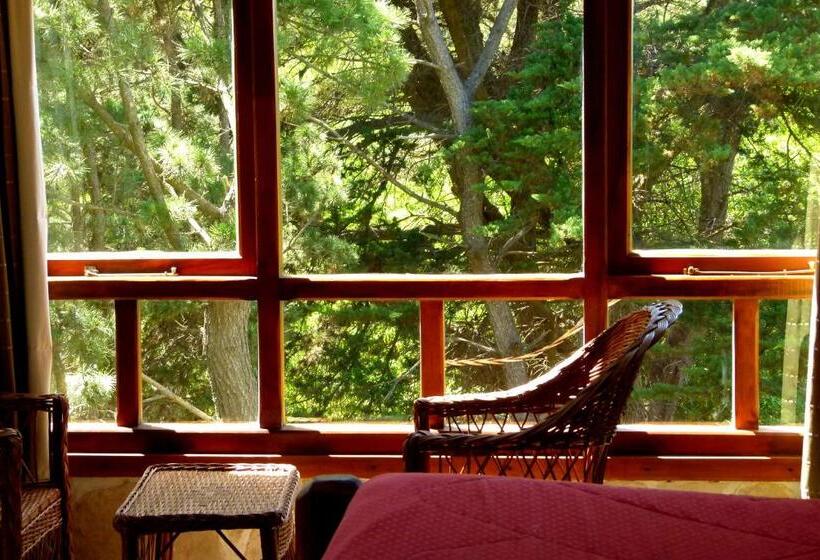 هاستل Hostería Y Cabañas Altamar De Las Pampas