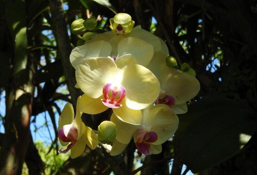 Общежитие Pousada Do Pescador