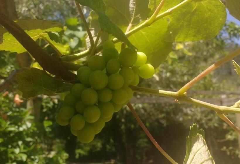 旅馆 Pousada Do Pescador