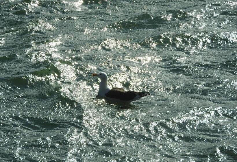 Общежитие Pousada Do Pescador