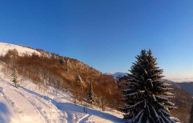 مبيت وإفطار Chambres D Hôtes Les Rondins De La Fecht