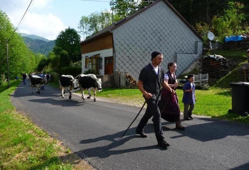Bed and Breakfast Chambres D Hôtes Les Rondins De La Fecht