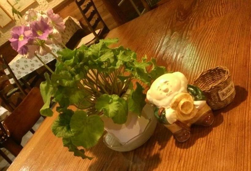 مبيت وإفطار Gallery & Lodge Noichigo