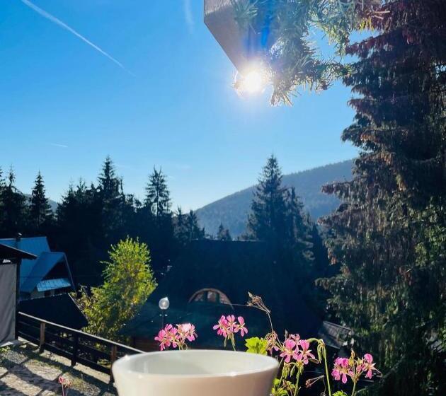 تختخواب و صبحانه Pensiunea Panoramic