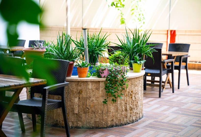 فندق şirin Rezidence