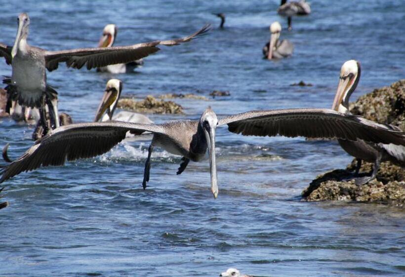 فندق Isabela, Mag Bay