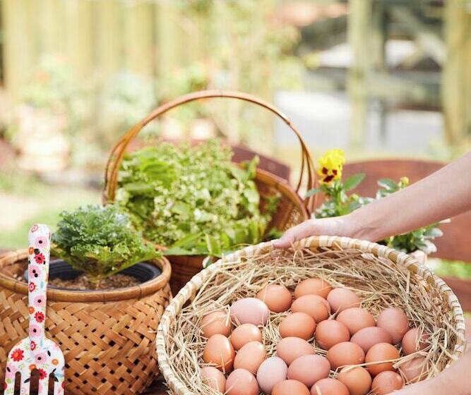 ホテル La Cocotte Villa & Farm Khao Yai