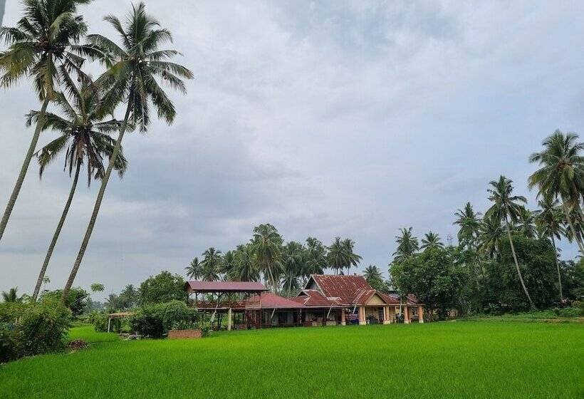 هتل Wafaby Guest House