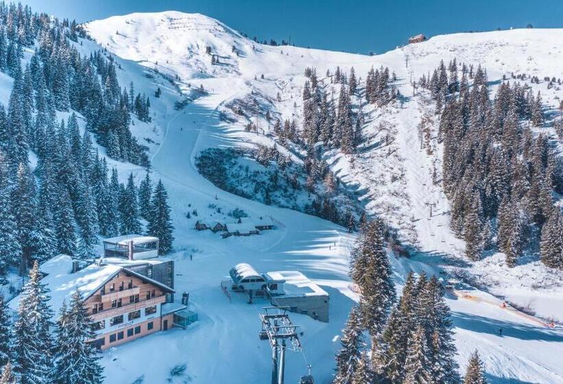 פנסיון Berghof   Riesneralm