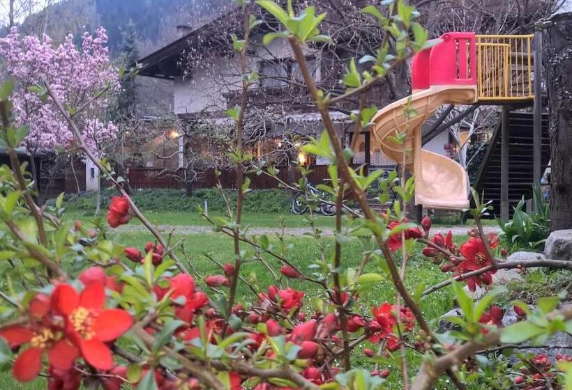 بنسيون Gasthof Pichler