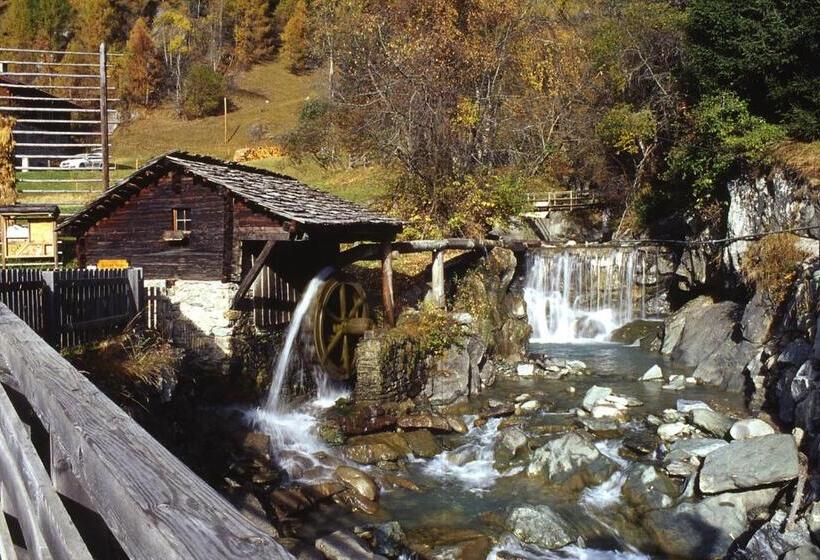펜션 Gästehaus Conny