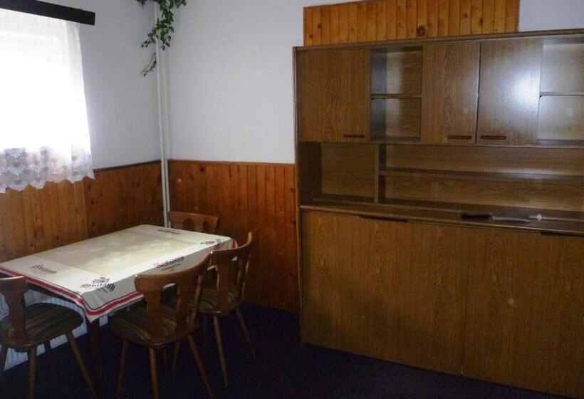 پانسیون Penzion Pod Studenovem