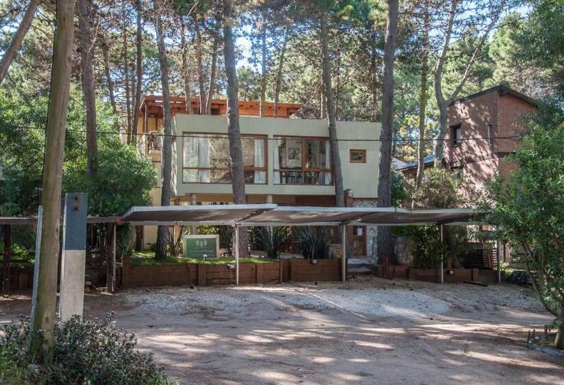 Terrazas Del Bosque Aparts