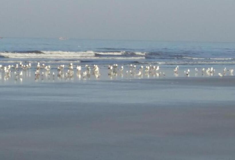 Whistling Waves Beach Resort