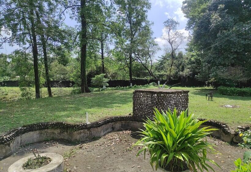 فندق Homecation Manas View Jungle Resort