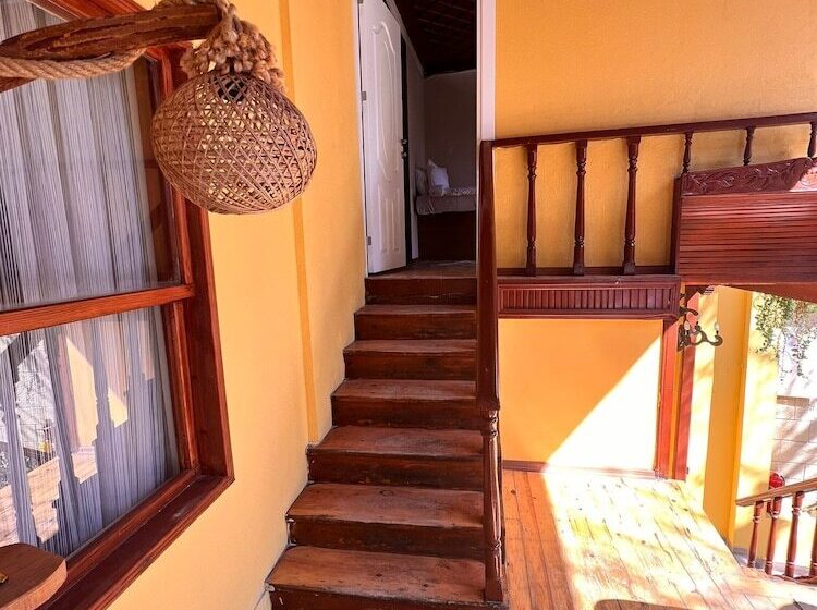 پانسیون Tarihi Sarı Konak