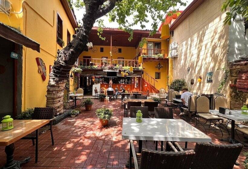 پانسیون Tarihi Sarı Konak