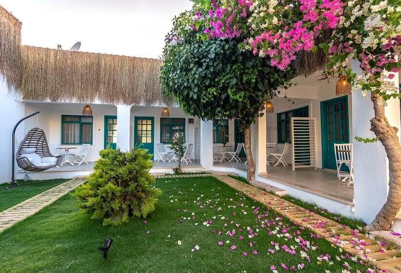 Avlu Butik Otel Palamutbükü