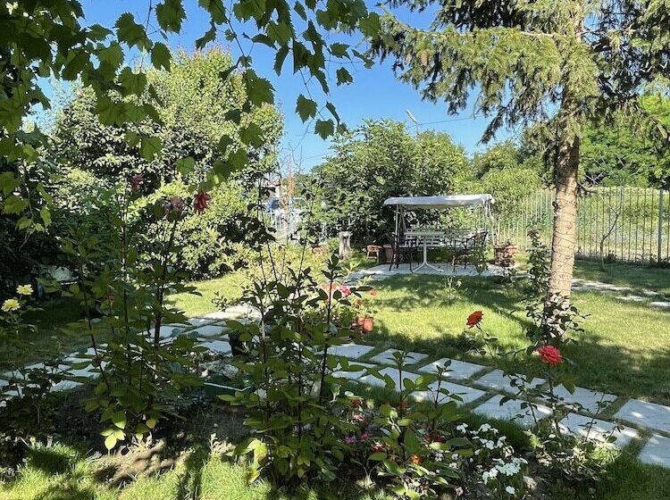 Galya Guest House