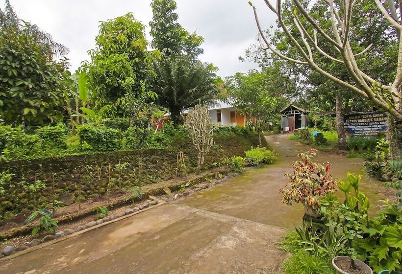 Отель Spot On 92567 Jati Homestay Near Taman Suranadi