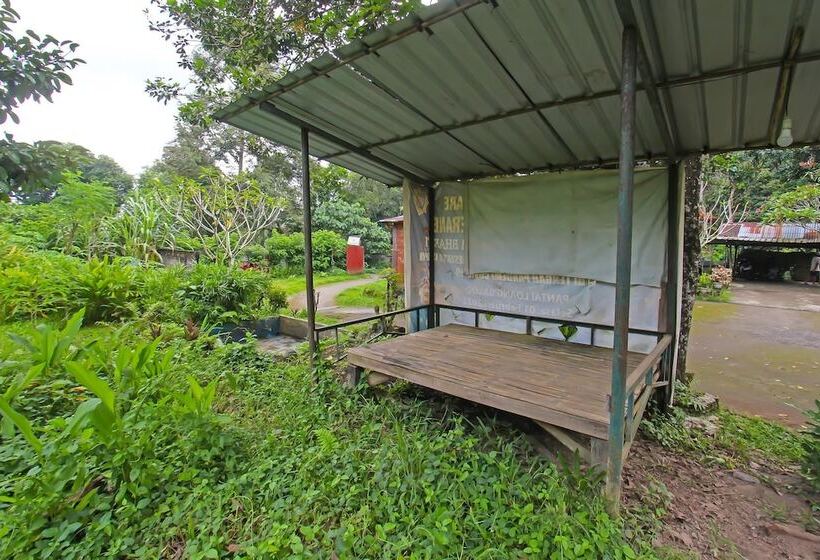 Отель Spot On 92567 Jati Homestay Near Taman Suranadi