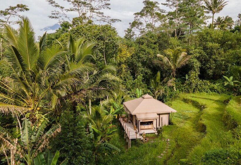 Nadi Nature Resort   Adults Only