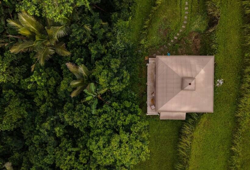 Nadi Nature Resort   Adults Only