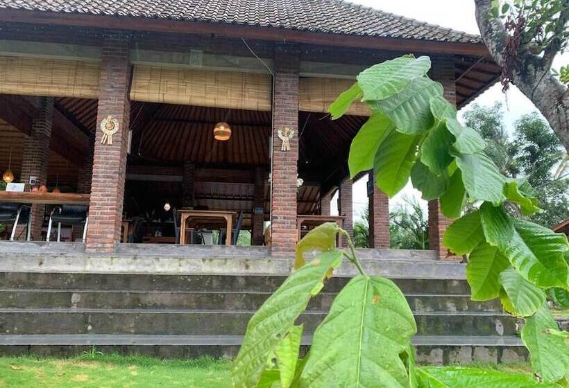 펜션 Kampung Coklat Jembrana
