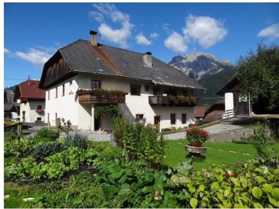 בית מלון כפרי Lissis Bauernhof Appartments