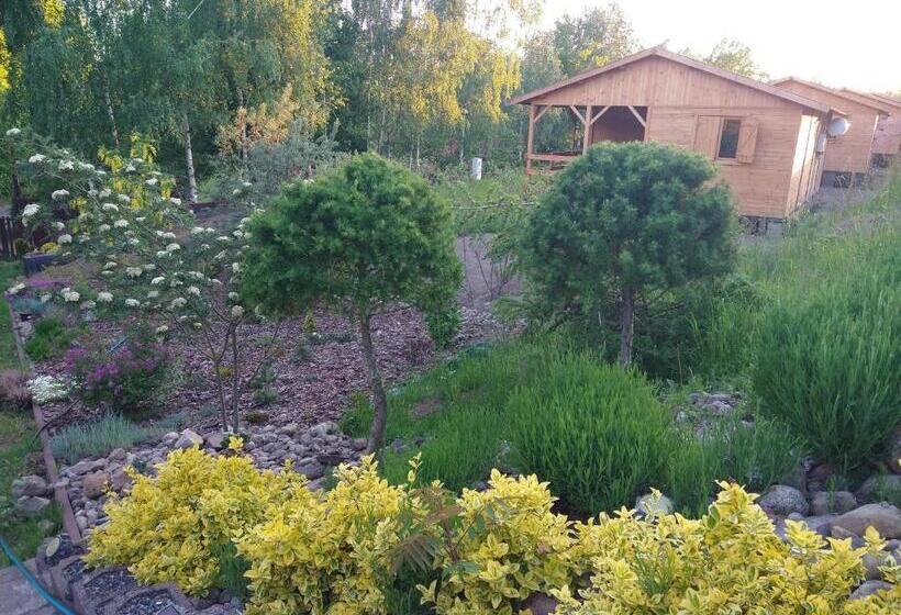 فندق Dom Wczasowy Pięciu Pomostów I Domki Letniskowe