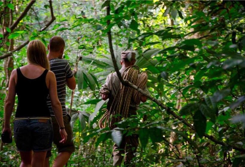 בית מלון כפרי Ella Jungle Resort