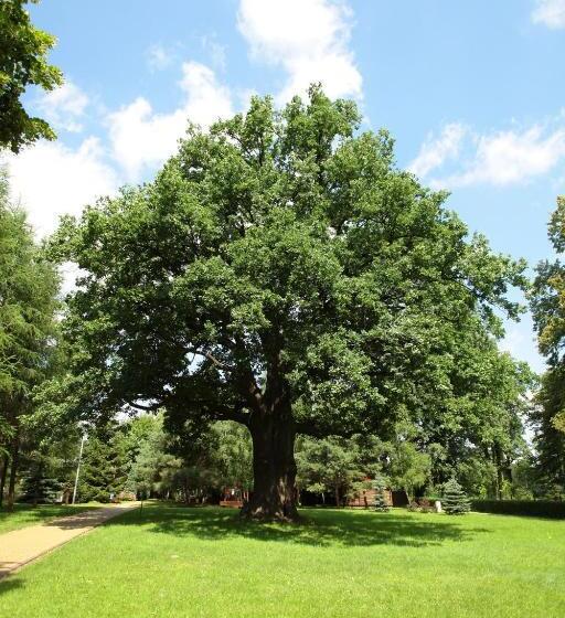 בית מלון כפרי Nad Mrogą