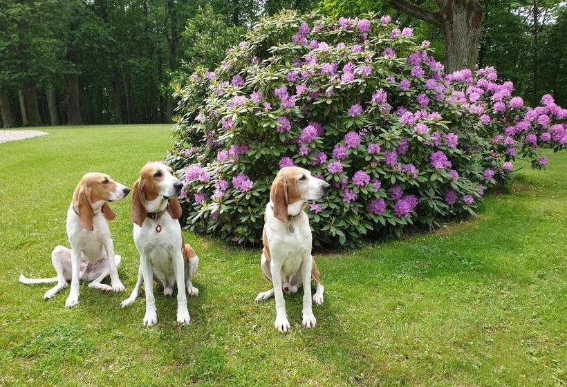 فندق Pałac Nakomiady