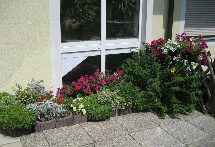 ホテル Pension Feiken