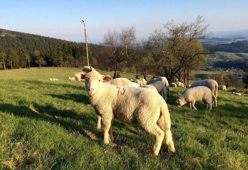 Отель Sowia Dolina   Góry Sowie