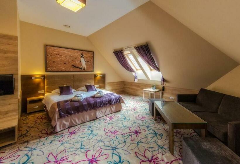 ホテル & Spa Czarny Groń