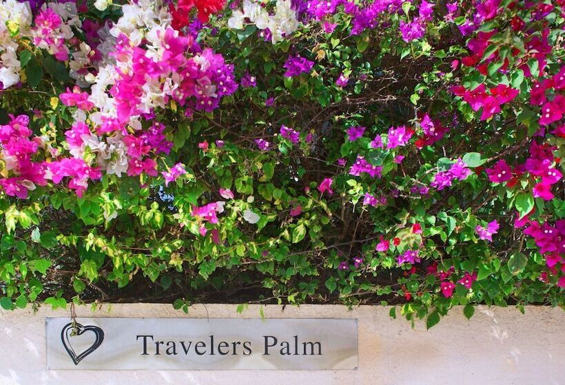فندق Travelers Palm