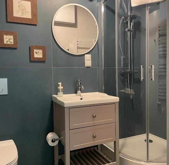 هتل Willa Marysin Bukowina Tatrzańska