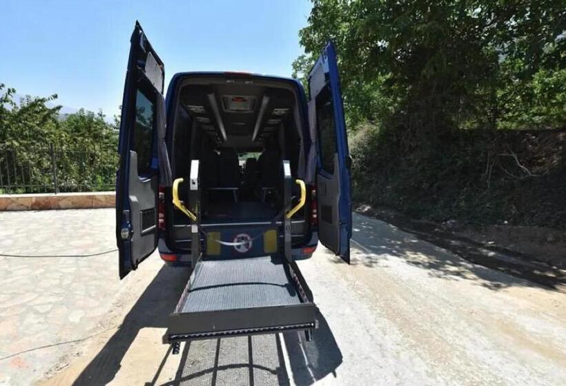 בית מלון כפרי Alexander Mountain Resort