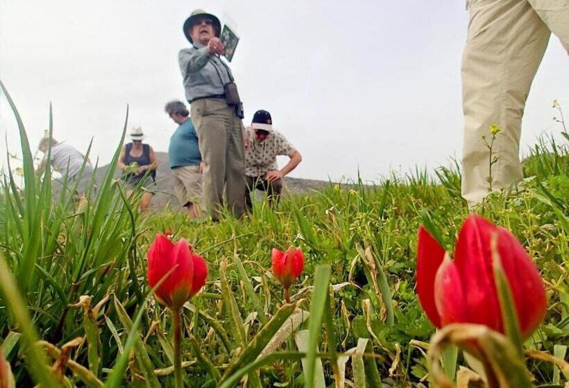 בית מלון כפרי Alexander Mountain Resort