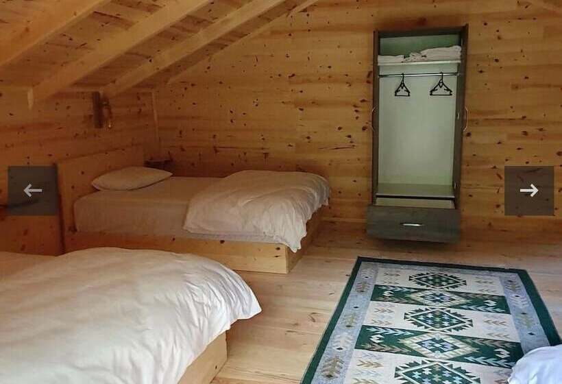 ホテル Hostel Viking