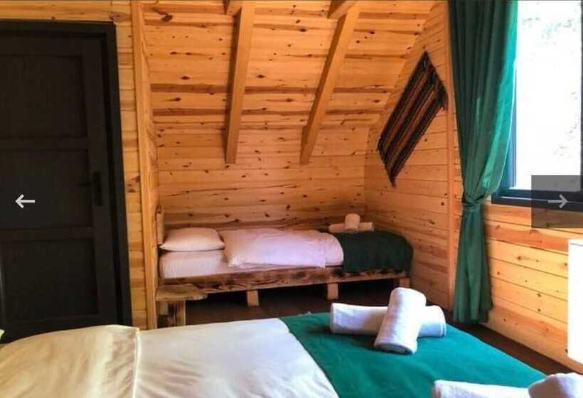 ホテル Hostel Viking