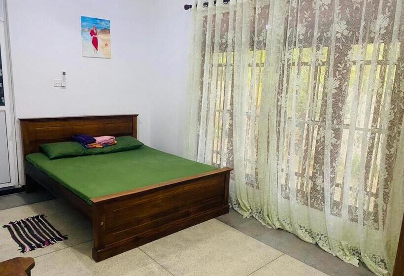 פנסיון Serene _ The Shelter 1
