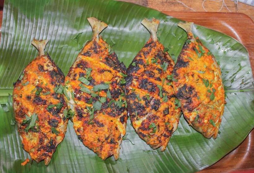 پانسیون Toro Simalatcat Surfcamp