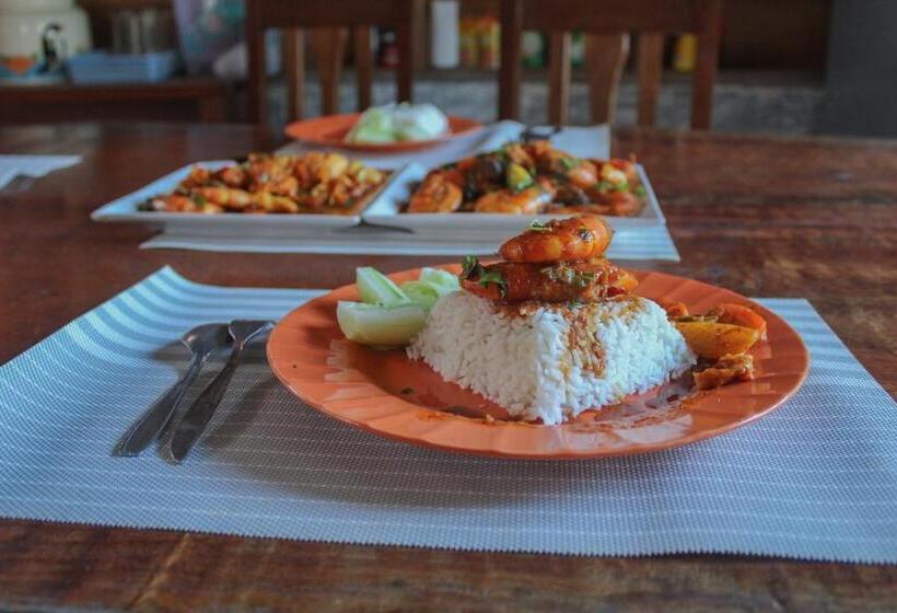 پانسیون Toro Simalatcat Surfcamp