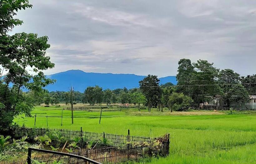Resort Jole Jangale
