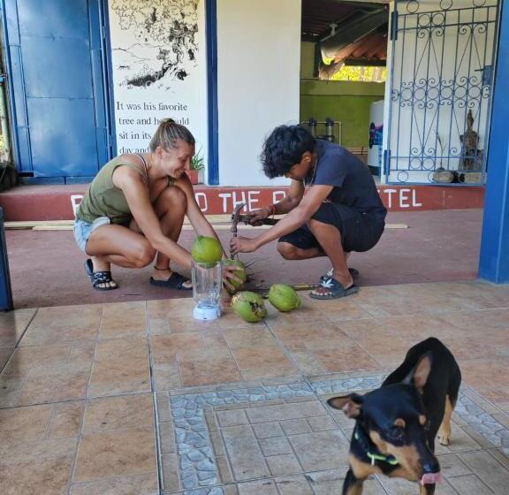 ユースホステル Ferdinand Apartments