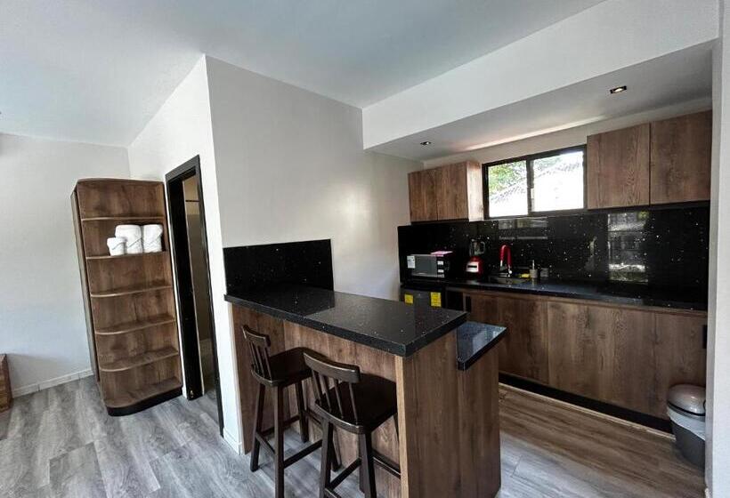 هتل Ocean Drive Lodge